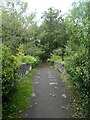 Path across Penllywn Tramway Bridge