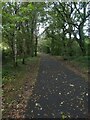 Shared path in Sirhowy Valley Country Park