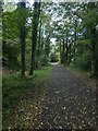 Shared path in Sirhowy Valley Country Park