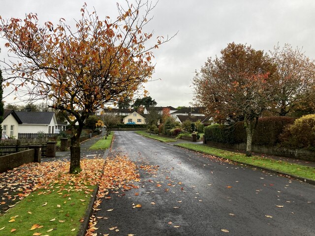 Fallen leaves, Georgian Villas, Campsie, Omagh