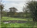 Gateway to field at Stonyford Farm