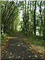 NCN47 south of Wyllie in Sirhowy Valley Country Park