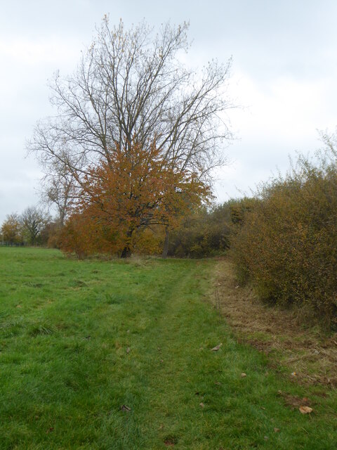 The Hillingdon Trail alongside Yeading Brook in Yeading Brook Meadows