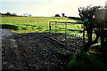 Muddy entrance to a field, Daughton