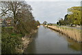 Royal Military Canal