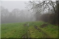 Foggy footpath