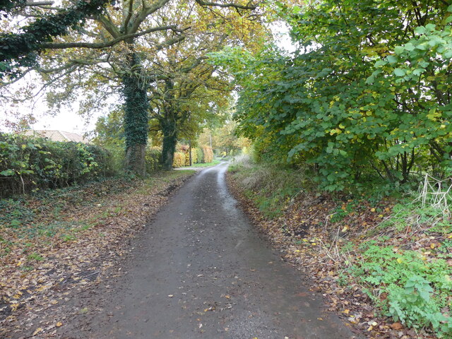 Looking back from end of no  through road