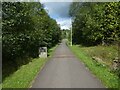 Shared path in Taff Bargoed Park