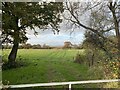 Farmland on the Gwent Levels