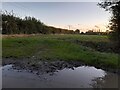 Muddy field near Good Easter