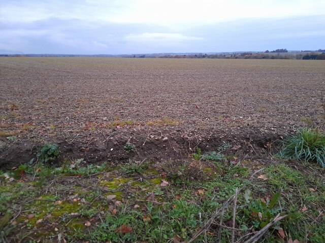 Field by Wych Elm Lane, Woolmer Green
