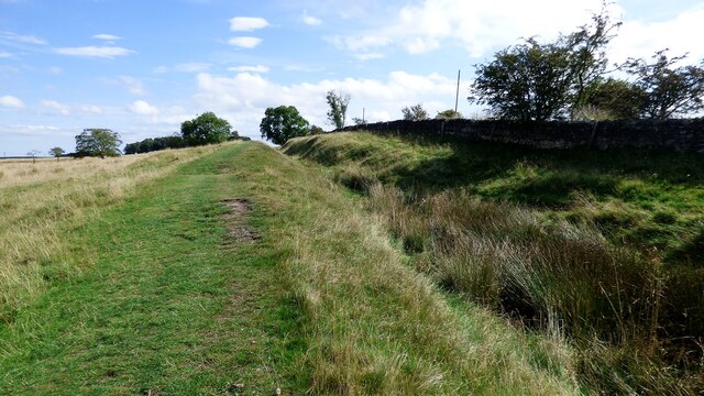 Hadrian's Wall ditch at Greenfield