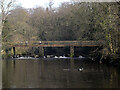 The Wooden Bridge, Knaresborough