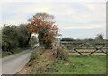 Bridleway on New Mills Heath