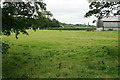 Field for cattle at Carver Fold