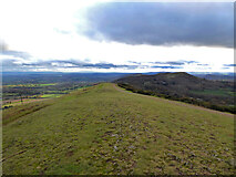 SO7641 : View from Pinnacle Hill towards British Camp by Chris Allen