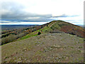 SO7641 : Pinnacle Hill from the summit of Black Hill by Chris Allen