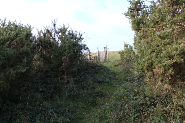 Stile with a wooden panel for easy dog... © Adrian Diack :: Geograph ...