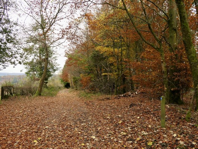 Road on Bucknell Hill © Richard Webb :: Geograph Britain and Ireland