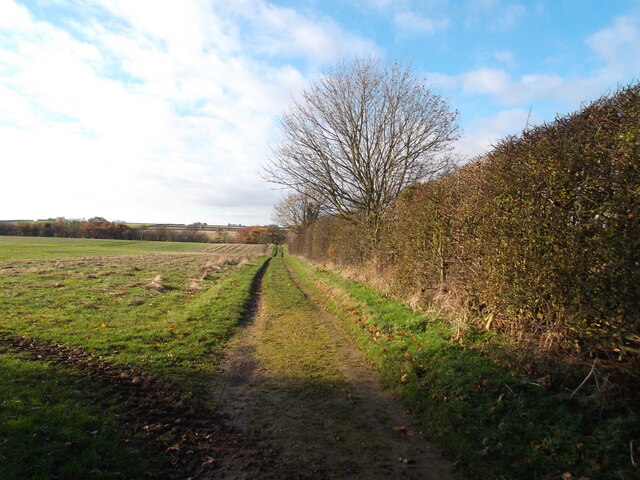 Fieldside path