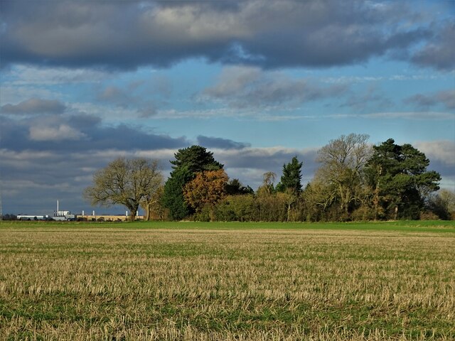 View to Sand Hills by The River Ancholme