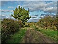 Little London Lane, North Kelsey