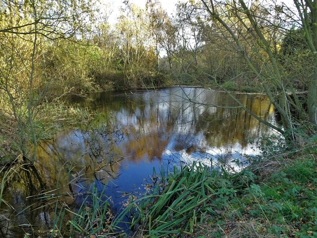 Pond north of Cadney Land Drain