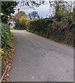 Hedge-lined Parc Road, Llangybi, Monmouthshire