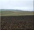 Ploughed field near Fairnington