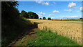 Path known as Northfield Lane, west of railway line near Mansfield Woodhouse