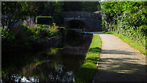 SJ2142 : Llangollen Canal near Pen-y-ddol Bridge by Colin Park