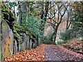 Wal y l?n, Ffwrnais / Lane wall, Furnace