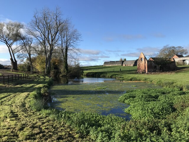 Pond at Lassington