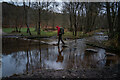 SJ9820 : Stepping Stones and Ford, Sher Brook, Cannock Chase by Brian Deegan