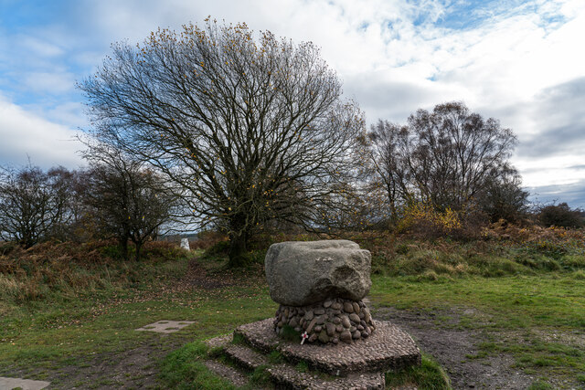Glacial Boulder and Trigpoint, Cannock Chase
