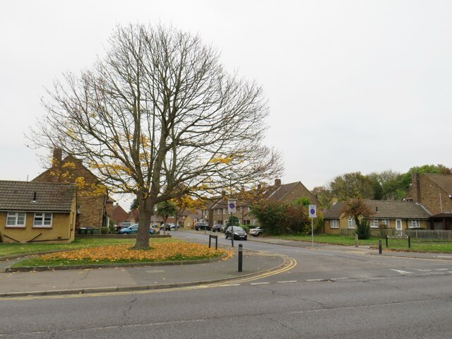 Fallen leaves, Eynsford Crescent, near Sidcup