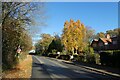 Autumn on Main Street