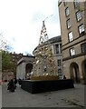 SJ8397 : Festive tree on Moseley Street  by Gerald England