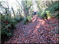 Cyffordd o lwybrau / A junction of paths