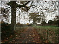 Roadway near Westfield Farm