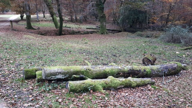 Mossy logs by Park Ground Inclosure