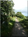 NCN49 by Monmouthshire and Brecon Canal