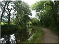 Monmouthshire and Brecon Canal near Wern Farm