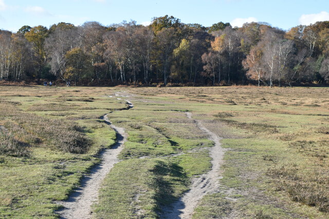 Rutted path towards Matley Wood