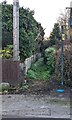 Green public footpath in Llandegveth