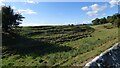 Rampart and ditch at Stanwick Oppidum