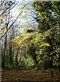 Oare Gunpowder Works Country Park, Faversham