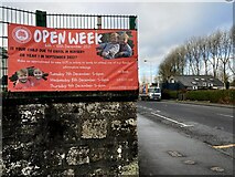 H4572 : Enrolment banner, Omagh County Primary School by Kenneth  Allen