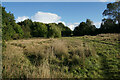 Open land above Tapton