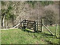 NY2433 : Field Gate near Halls Beck by Adrian Taylor